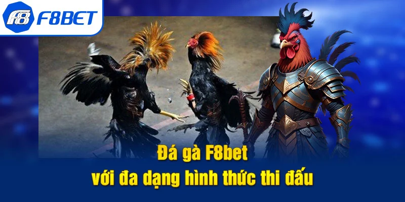 hình thức đá gà f8bet